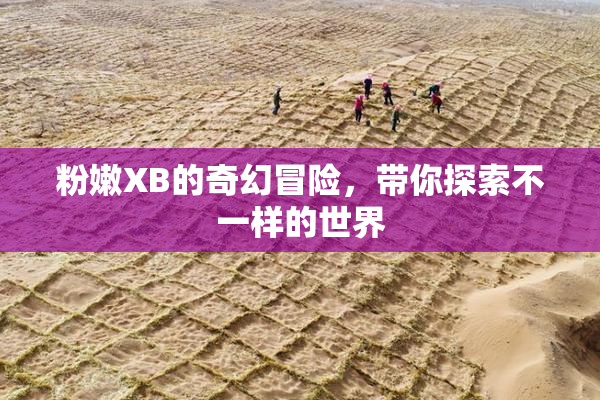 粉嫩XB的奇幻冒险，带你探索不一样的世界