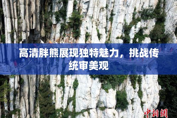 高清胖熊展现独特魅力，挑战传统审美观