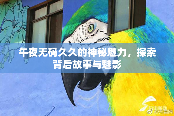 午夜无码久久的神秘魅力，探索背后故事与魅影