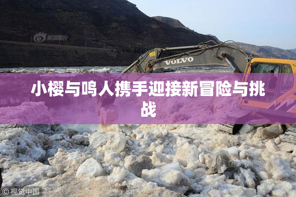 小樱与鸣人携手迎接新冒险与挑战