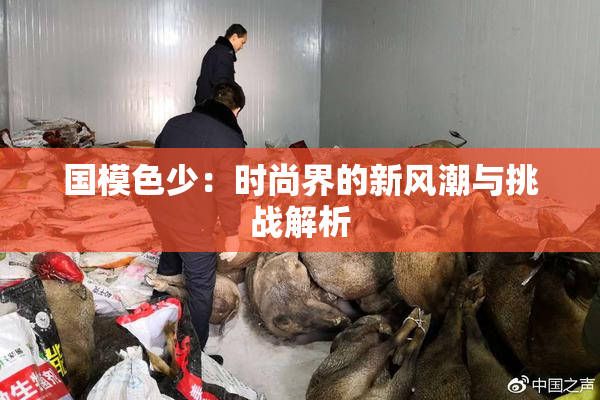 国模色少：时尚界的新风潮与挑战解析