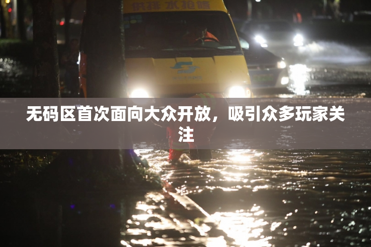 无码区首次面向大众开放，吸引众多玩家关注
