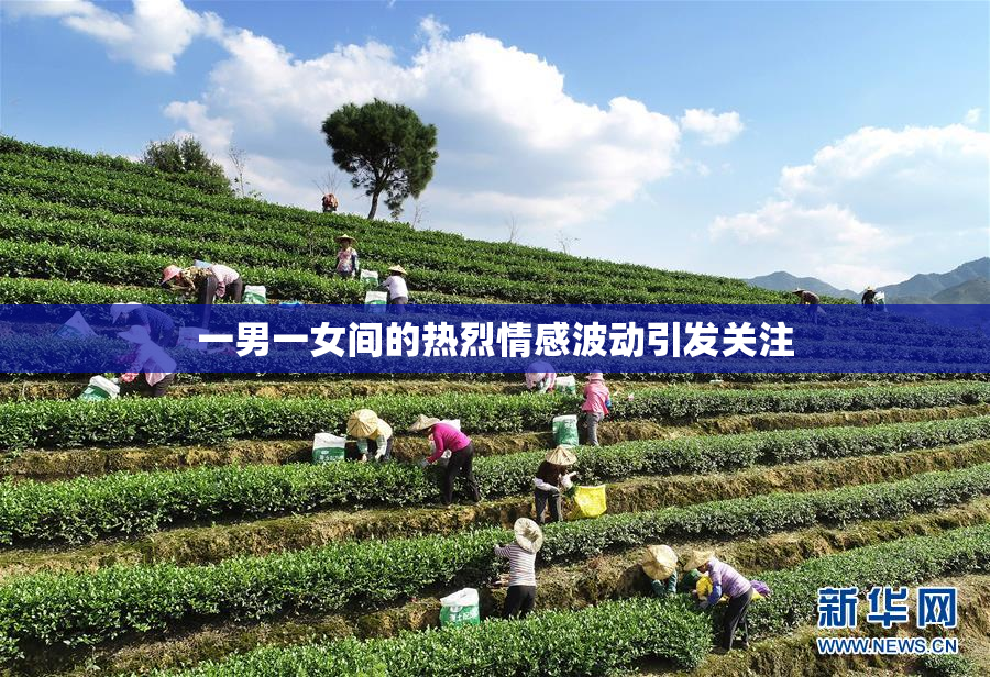 一男一女间的热烈情感波动引发关注