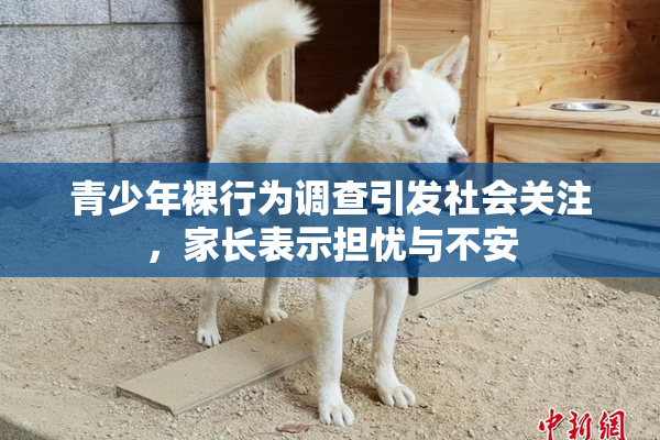 青少年裸行为调查引发社会关注，家长表示担忧与不安