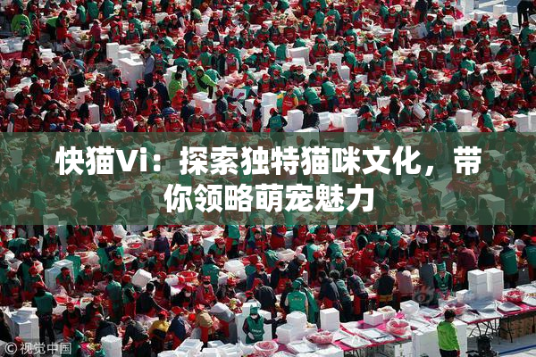 快猫Vi：探索独特猫咪文化，带你领略萌宠魅力