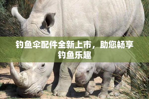钓鱼伞配件全新上市，助您畅享钓鱼乐趣