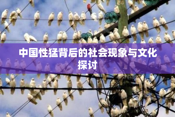 中国性猛背后的社会现象与文化探讨