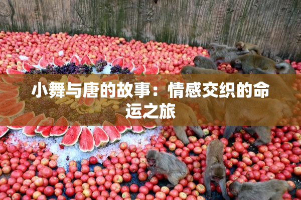 小舞与唐的故事：情感交织的命运之旅