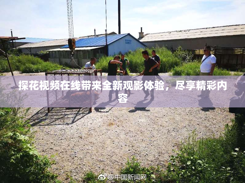探花视频在线带来全新观影体验，尽享精彩内容