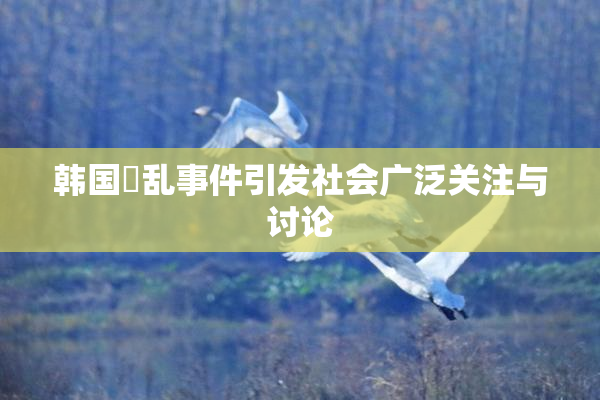 韩国婬乱事件引发社会广泛关注与讨论