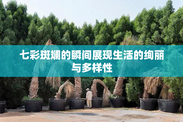 七彩斑斓的瞬间展现生活的绚丽与多样性