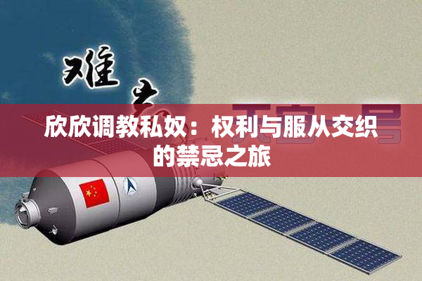 欣欣调教私奴：权利与服从交织的禁忌之旅