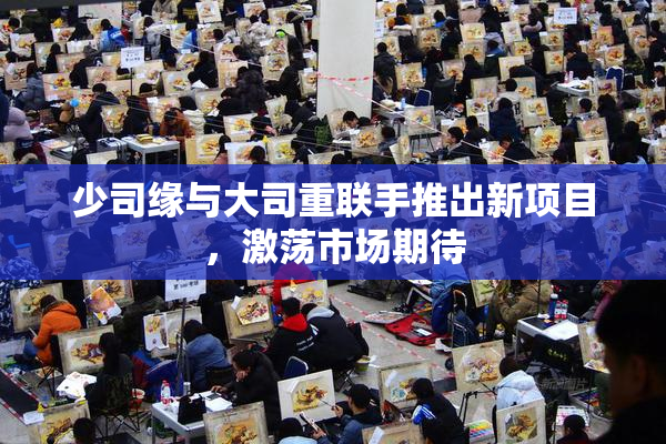 少司缘与大司重联手推出新项目，激荡市场期待