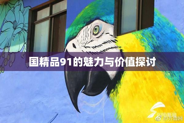 国精品91的魅力与价值探讨