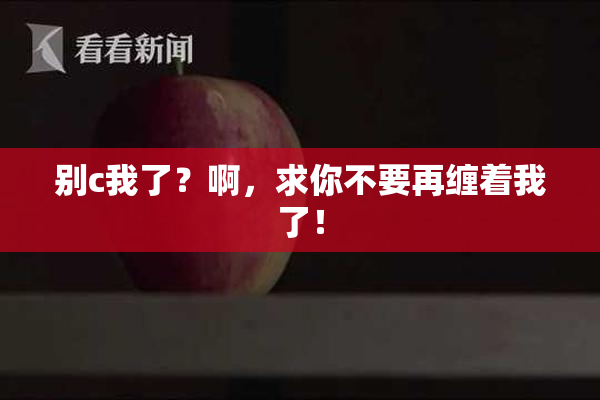 别c我了？啊，求你不要再缠着我了！