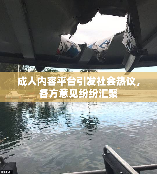 成人内容平台引发社会热议，各方意见纷纷汇聚