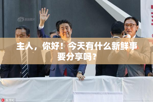 主人，你好！今天有什么新鲜事要分享吗？