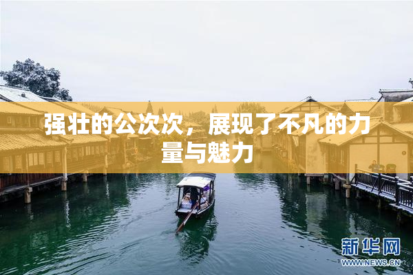 强壮的公次次，展现了不凡的力量与魅力