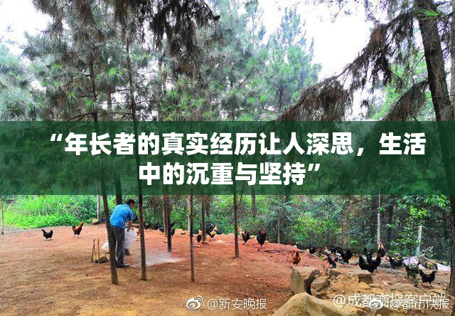 “年长者的真实经历让人深思，生活中的沉重与坚持”