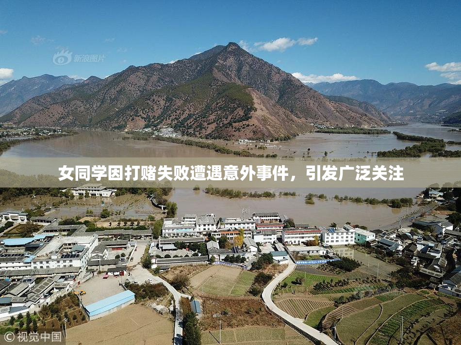 女同学因打赌失败遭遇意外事件，引发广泛关注