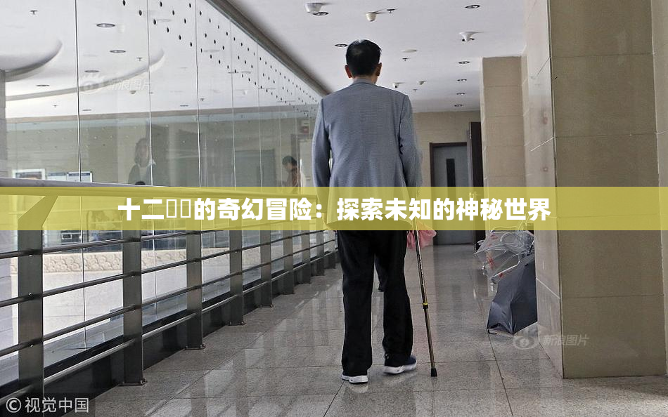 十二妺妺的奇幻冒险：探索未知的神秘世界