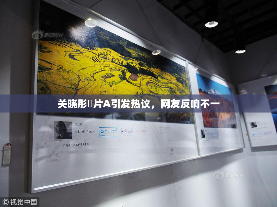 关晓彤婬片A引发热议，网友反响不一