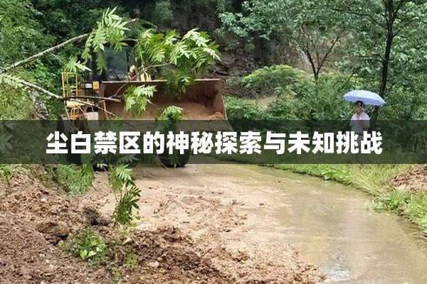 尘白禁区的神秘探索与未知挑战