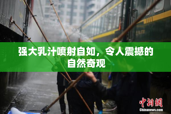 强大乳汁喷射自如，令人震撼的自然奇观
