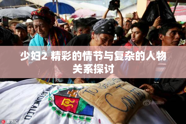 少妇2 精彩的情节与复杂的人物关系探讨