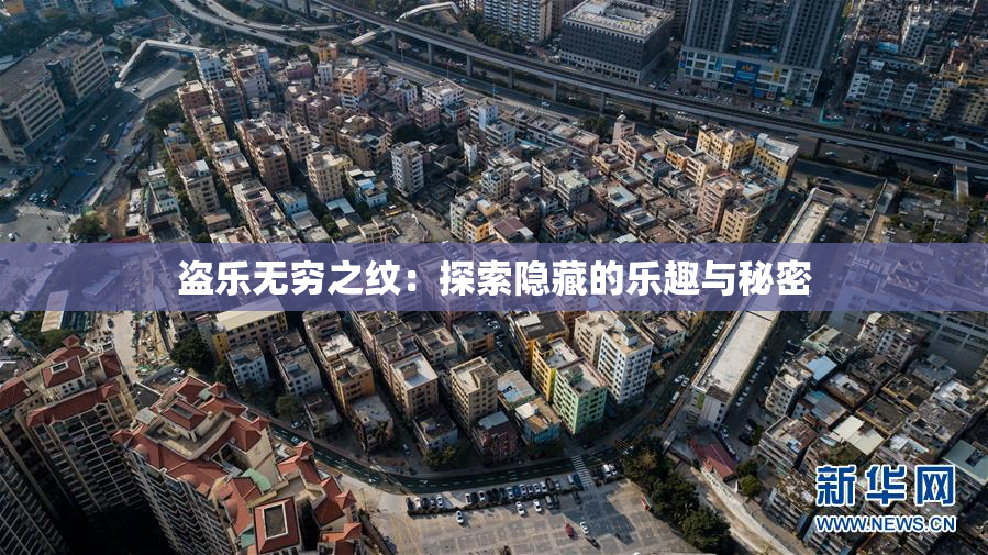 盗乐无穷之纹：探索隐藏的乐趣与秘密