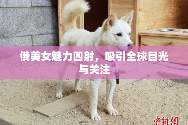俄美女魅力四射，吸引全球目光与关注