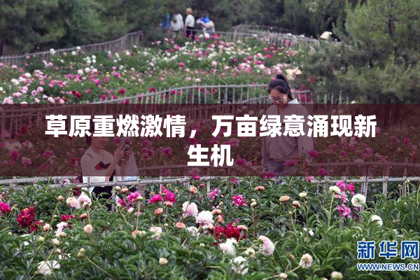 草原重燃激情，万亩绿意涌现新生机