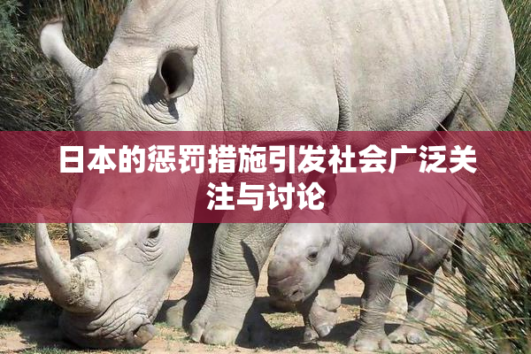 日本的惩罚措施引发社会广泛关注与讨论