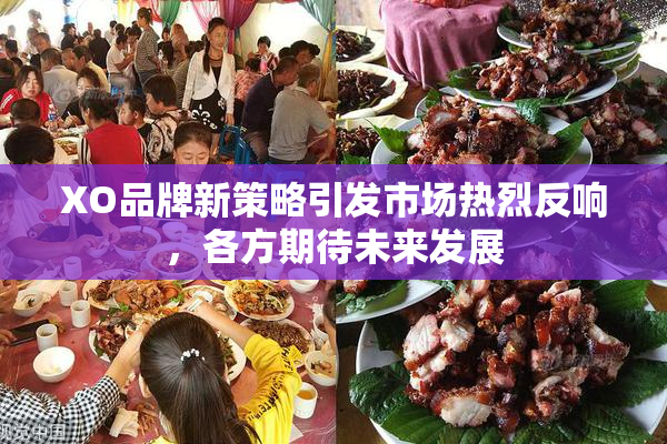 XO品牌新策略引发市场热烈反响，各方期待未来发展