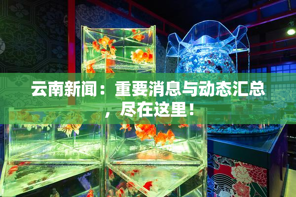 云南新闻：重要消息与动态汇总，尽在这里！