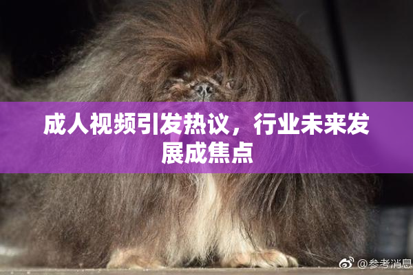 成人视频引发热议，行业未来发展成焦点