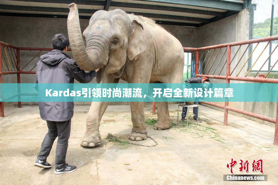 Kardas引领时尚潮流，开启全新设计篇章