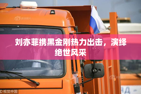 刘亦菲携黑金刚热力出击，演绎绝世风采