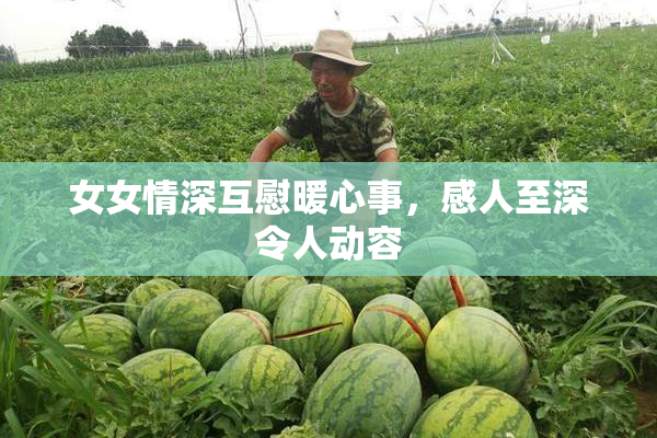 女女情深互慰暖心事，感人至深令人动容