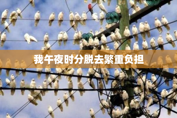 我午夜时分脱去繁重负担