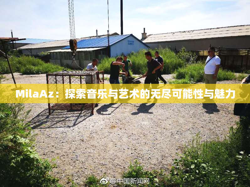MilaAz：探索音乐与艺术的无尽可能性与魅力