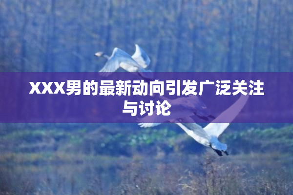 XXX男的最新动向引发广泛关注与讨论