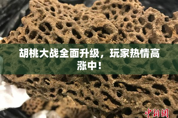 胡桃大战全面升级，玩家热情高涨中！