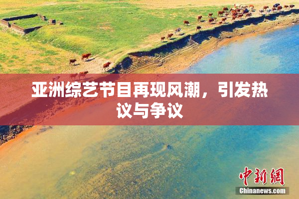 亚洲综艺节目再现风潮，引发热议与争议
