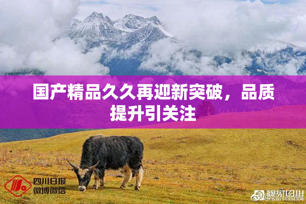 国产精品久久再迎新突破，品质提升引关注