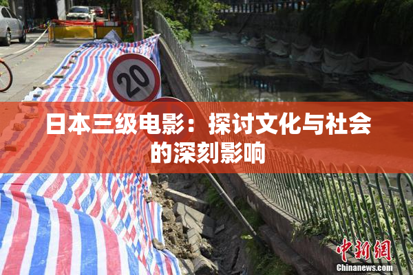 日本三级电影：探讨文化与社会的深刻影响