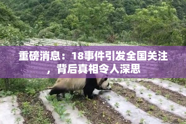 重磅消息：18事件引发全国关注，背后真相令人深思