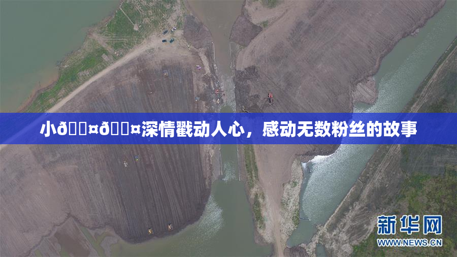 小🐤🐤深情戳动人心，感动无数粉丝的故事