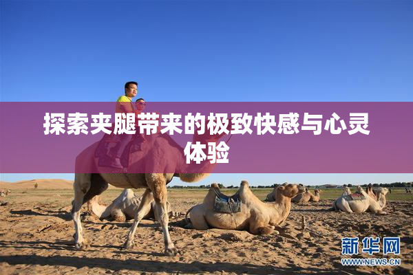 探索夹腿带来的极致快感与心灵体验