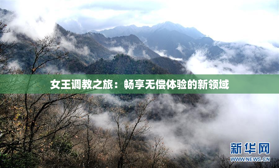 女王调教之旅：畅享无偿体验的新领域